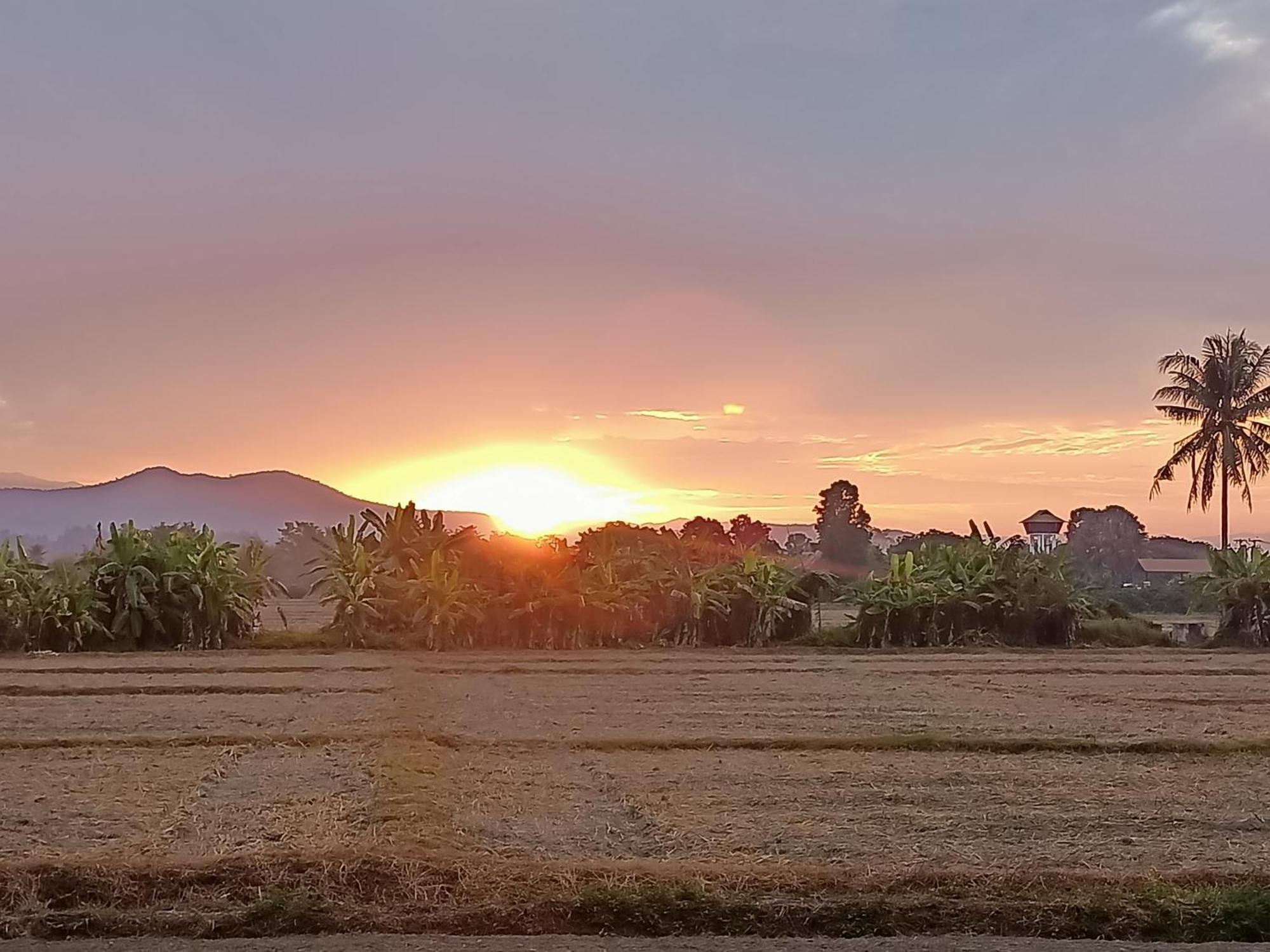 Villa Albizia, Chiang Mai Doi Saket Dış mekan fotoğraf