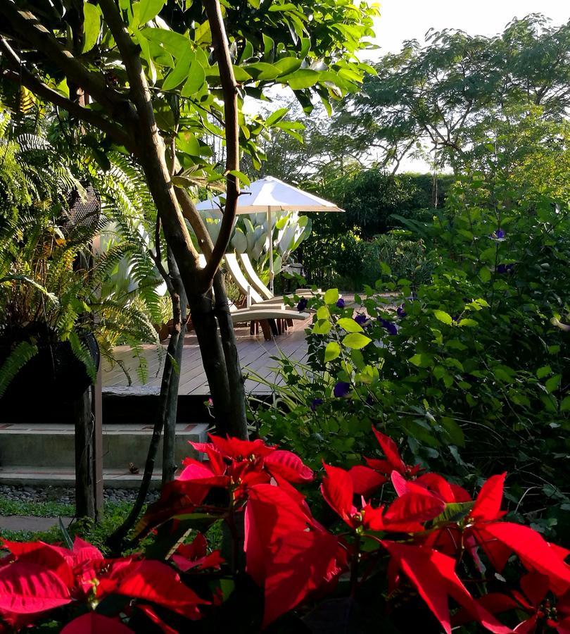 Villa Albizia, Chiang Mai Doi Saket Dış mekan fotoğraf