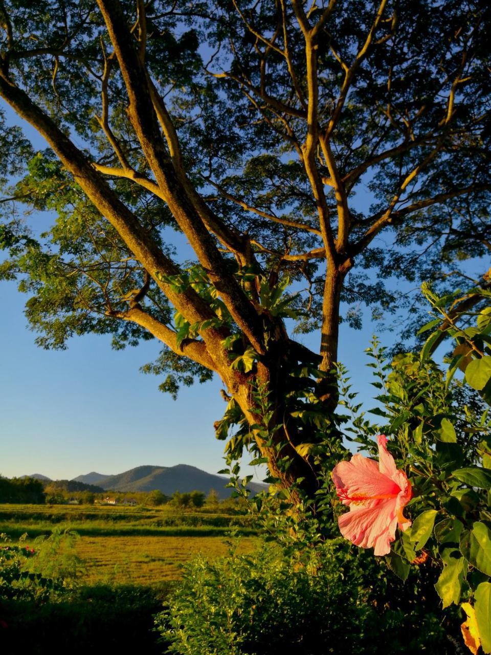 Villa Albizia, Chiang Mai Doi Saket Dış mekan fotoğraf